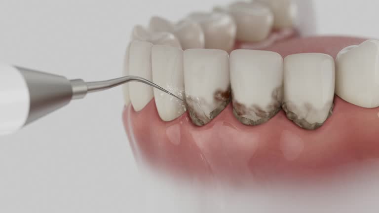 Reliable Dental contractor in Litchfield Beach, SC by Dentist Open Now